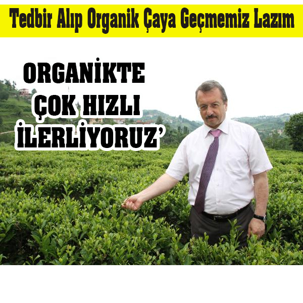 AYKUR Genel Mdr Stlolu: Tedbir alp organik aya gememiz lazm