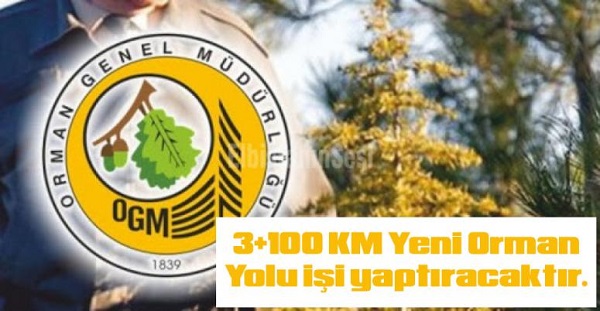 Orman yolu yaptrlacaktr