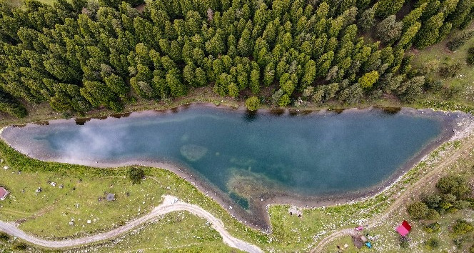 Havadan bal andran grnts ile ilgi ekiyor