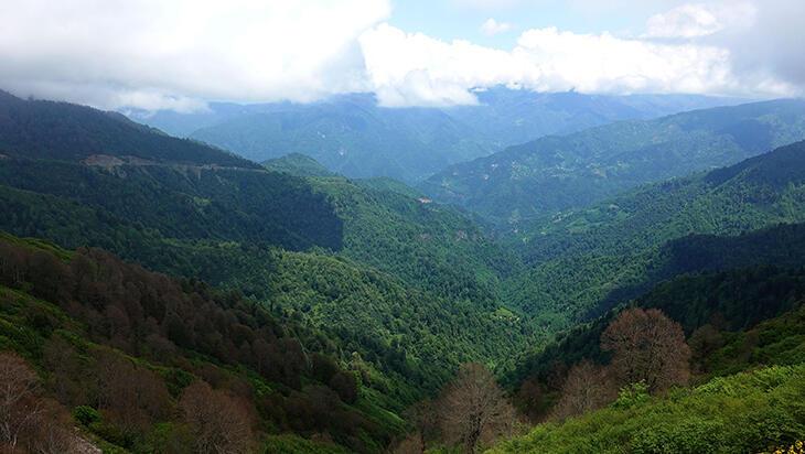 Artvin`in Camili Havzas doaseverleri bekliyor