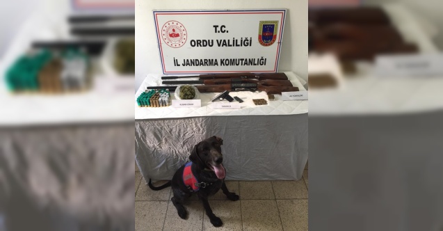 Ordu`da uyuturucu operasyonunda bir kii yakaland