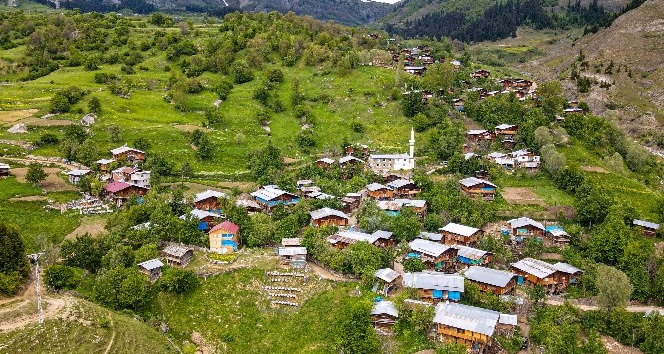 Artvin`deki 2 bin rakml Maden ky ahap mimarisi, kltr ve doasyla ilgi ekiyor