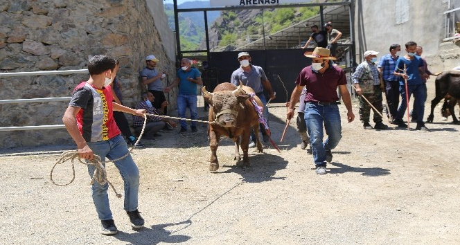 1 yln aradan sonra Artvin`de boa greleri yeniden yaplmaya balad