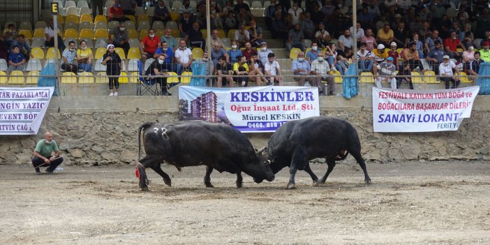 Artvin`de dzenlenen `14. Melo Boa Greleri Festivali` sona erdi