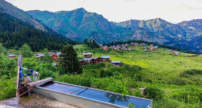 Artvin`in yaylalarnda hayat hem zor hem keyifli