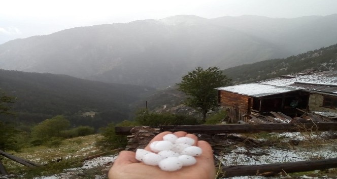 Artvin`de dolu ya etkili oldu